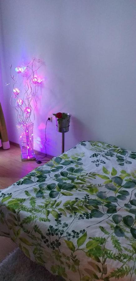Aphrodite Rose Слънчев бряг Екстериор снимка