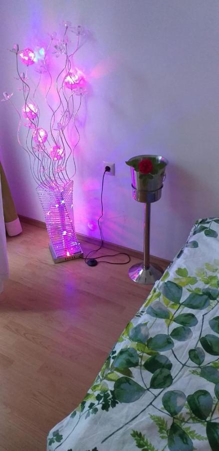 Aphrodite Rose Слънчев бряг Екстериор снимка